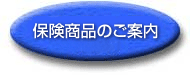 保険商品のご案内